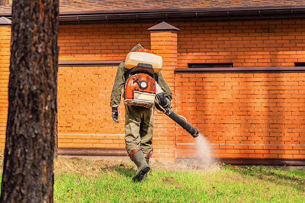 Bed Bug Clearance Verification and Documentation in Southside Place